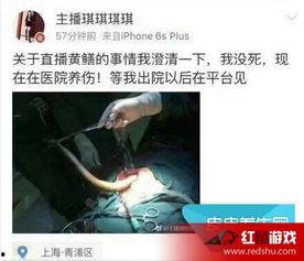 黄鳝门女主播琪琪简历